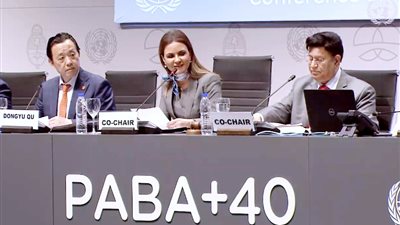 وزيرة الاستثمار تترأس الجلسة الرئيسية النقاشية الأولى حول فرص التعاون بين دول الجنوب