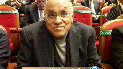 يوسف القعيد: مئوية ثورة 19 احتفالية عظيمة لجميع فئات وطوائف الشعب