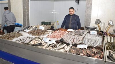 سوق الأسماك الجديد ببورسعيد.. طراز أوروبي على أراضى مصرية (صور)