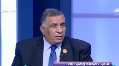 برلماني: السيسي أثلج صدور المصريين بقرارات المعاشات والأجور