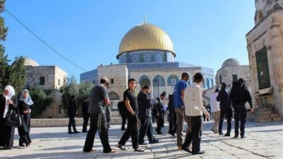 عشرات المستوطنين يقتحمون الأقصى بحراسة مشددة من الاحتلال الإسرائيلي