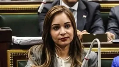 برلمانية: دستور 2014 كانت له ظروف خاصة