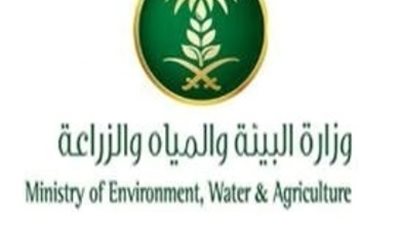 البيئة: بدء حظر صيد الروبيان في البحر الأحمر أول أبريل