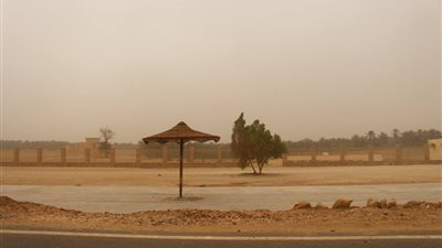 لليوم الثالث.. رياح محملة بالأتربة تصل لحد العواصف تضرب عددًا من المناطق بالوادي الجديد (صور)