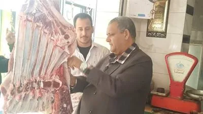 حملة مكبرة على المحلات التجارية والكافيهات ومنافذ بيع اللحوم والأسماك بالمنوفية (صور)