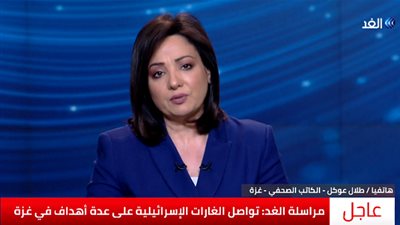 محلل فلسطيني: إسرائيل لن تتورط في معارك برية مع قطاع غزة (فيديو)