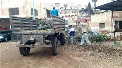 رفع المخلفات بالإدارة العامة لمرور الدقهلية