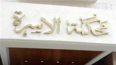 رجل يصرخ أمام المحكمة: مراتي بتضربني وبتهددني بالحبس عشان العصمة في إيدها