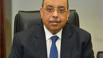 وزير التنمية المحلية يكرم الأمهات المثاليات 