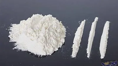 إحالة ألمانية وتركي للجنايات لاتهامها بالاتجار في مخدر الكوكايين