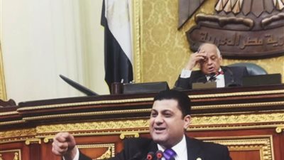 برلماني: جلسات الحوار المجتمعي شهدت جميع الآراء المؤيدة والمعارضة