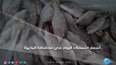 أسعار الأسماك اليوم الجمعة 29-3-2019 في محافظة البحيرة