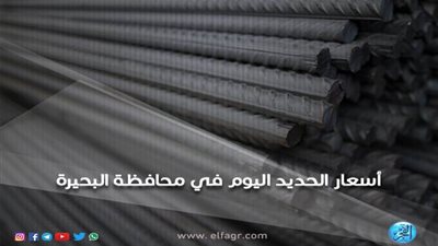 أسعار الحديد اليوم الجمعة 29-3-2019 في محافظة البحيرة