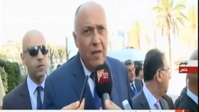 شكري: وزراء الخارجية العرب سيعقدون اجتماع تشاوري أخر بشأن القضايا الملحة