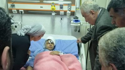 محامين الشرقية تدعي بالحق المدني للمحامية المعتدى عليها