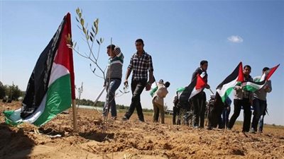 في الذكرى الـ 43.. كيف أحيا الفلسطينيون يوم الأرض؟