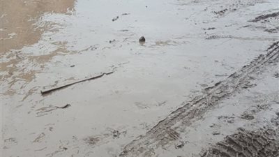 أهالي دمنهور يستغيثون بسبب تحول الشوارع لبرك وأوحال من الطين وسط غياب المسئولين (صور)