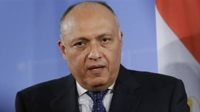 وزير الخارجية: لهذا السبب يرفض السيسي الحديث عن قطر وتركيا بشكل مباشر