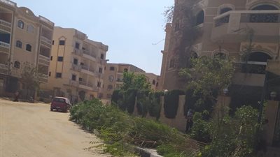  جهاز مدينة الشروق يدعو أصحاب قطع الأراضى لسرعة إزالة الأسوار الشجرية 