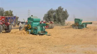 الأقصر تستعرض نجاحها في القضاء على ظاهرة حرق مخلفات القصب