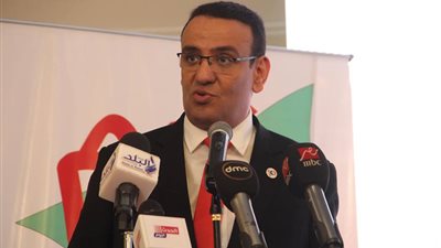 متحدث البرلمان: التعديلات الدستورية الجديدة لمصر وليس للرئيس السيسي