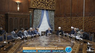 الإمام الطيب ووزير الإنتاج الحربي يبحثان سبل تعزيز التعاون المشترك