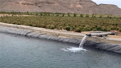 زراعات في أحضان جبال القصير وصحراء الشلاتين.. مزرعة القويح للخضروات والفاكهة