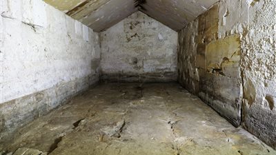 العناني: لأول مرة في التاريخ 