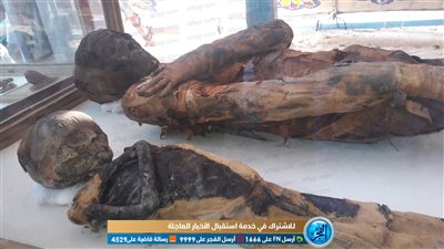 الفجر تنشر أول فيديو للكشف الأثرى بسوهاج.. عمره ألفين عام وعصابة لسرقة الآثار هي كلمة السر! 