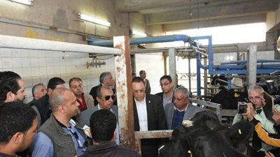 وزير الزراعة يتفقد مزرعة للثروة الحيوانية وإنتاج الألبان بالشرقية (صور)