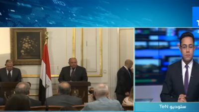 محلل سياسي روسي: عودة الطيران المباشر إلى مصر مطلب شعبي