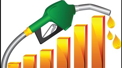 برلماني يكشف موعد رفع الدعم عن الوقود بالكامل