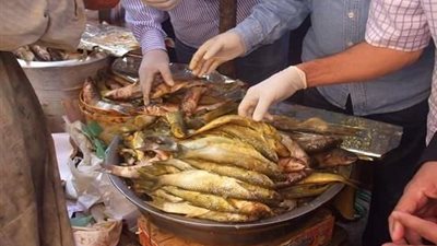 شعبة الأسماك تكشف عن أسعار الفسيخ والرنجة مع إقتراب 