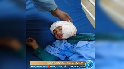 برلماني بالفيوم يطالب دعم وحدات الطب البيطري لحسم مشكلة انتشار الكلاب الضالة 