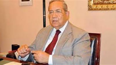 دبلوماسي سابق: القارة السمراء تساند فلسطين من أجل عيون مصر