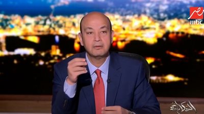 أديب عن زيارة السيسي إلى غينيا: مصر محبوبة.. وإفريقيا تشبهنا
