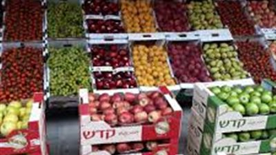 ننشر أسعار الخضراوات اليوم الإثنين في بورسعيد