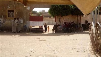 انتهاء جولة الإعادة للانتخابات التكميلية بأشمون وبدء عملية الفرز