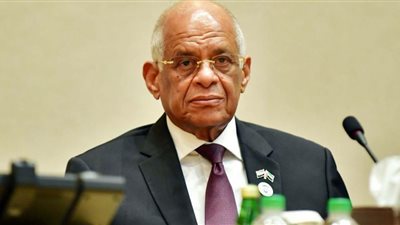 رئيس البرلمان: المعارضة الوطنية تكون في الداخل وليس في الخارج