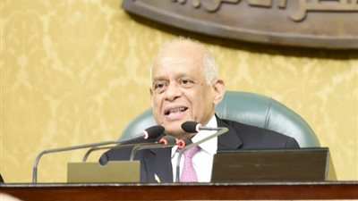 رئيس البرلمان: حملات التأييد واللافتات المؤيدة للتعديلات الدستورية تطوعية من المواطنين