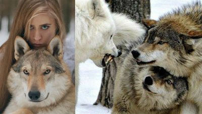 الطالع الفلكي الخَمِيس 11/4/2019..عَاطِفَة المِخْلَبْ!