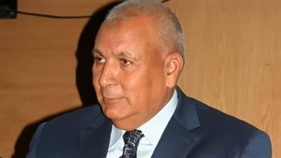 محافظ الوادي الجديد: قمنا بتدشين مبادرة 