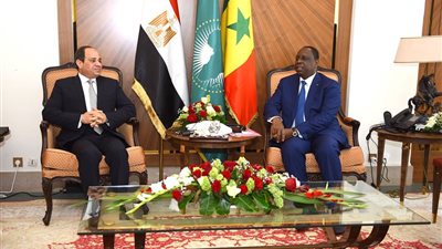 نهى خضر: السنغال تعتبر مصر قوى عظمى بالقارة الإفريقية