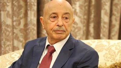 صالح: حكومة 