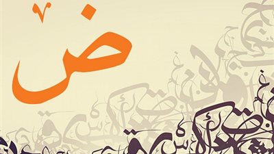 تعرف على سبب تسمية اللغة العربية بلغة 