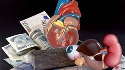 نيابة أكتوبر تباشر التحقيق مع عصابة تخصصت في الاتجار بالأعضاء البشرية