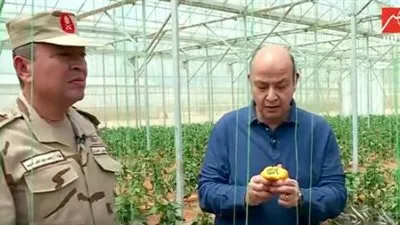 عمرو أديب يتناول من منتجات الصوب الزراعية على الهواء (فيديو)