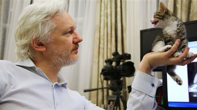 ويكيليكس تنشر فيديو لقط أسانج وهو يراقب اعتقاله