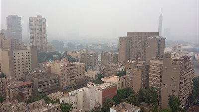 عاجل| أمطار خفيفة وشبورة تغطي سماء القاهرة (صور)