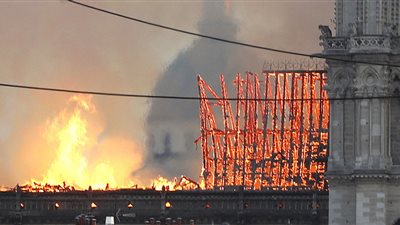 شاهد.. إنقاذ 